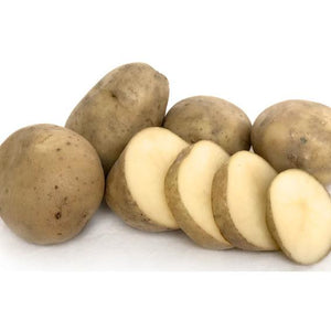 Seed Potato - Maris Anchor - 6 Pack
