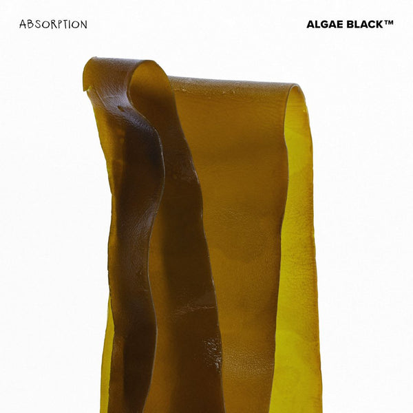 THE UNSEEN Beauty ABSORPTION collection with Algae Black