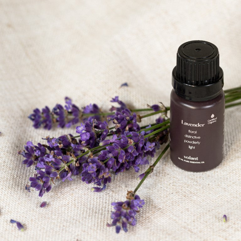 Complete Guide To Lavender Essential Oil