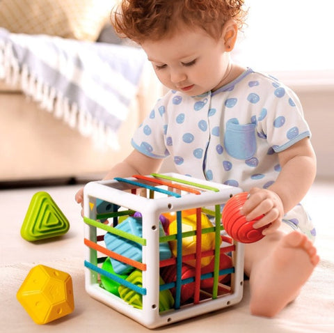 Montessori early edication toys for baby and toddler