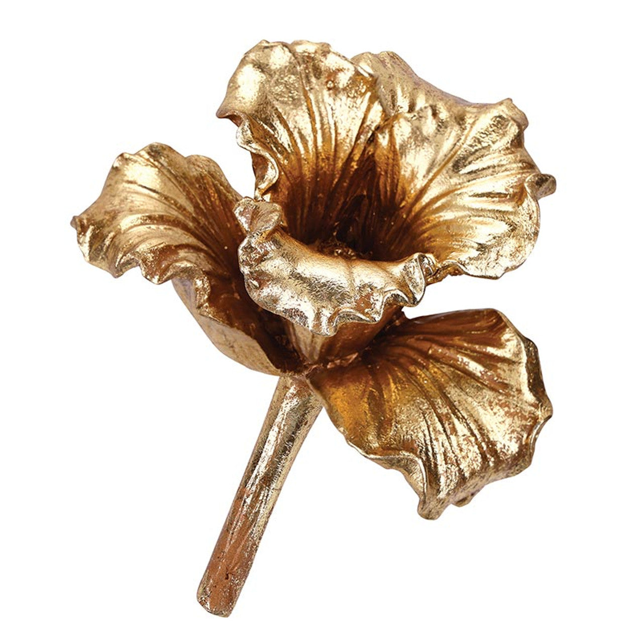 Golden Lily