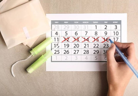 Menstrual cycle calendar