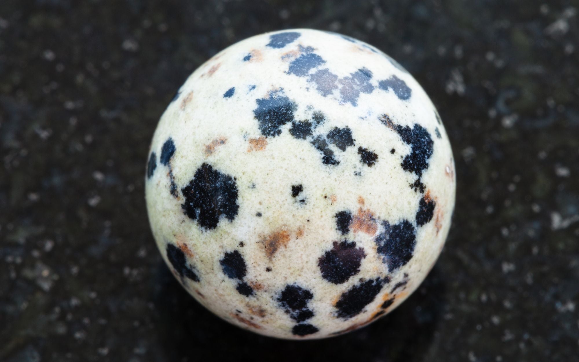 Dalmatian Jasper Stone