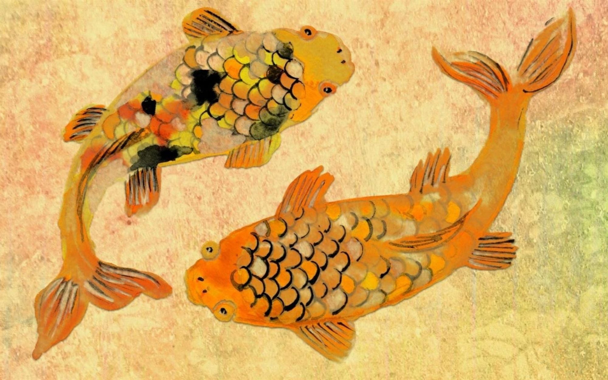Koi Fish Symbolism in Various Legends