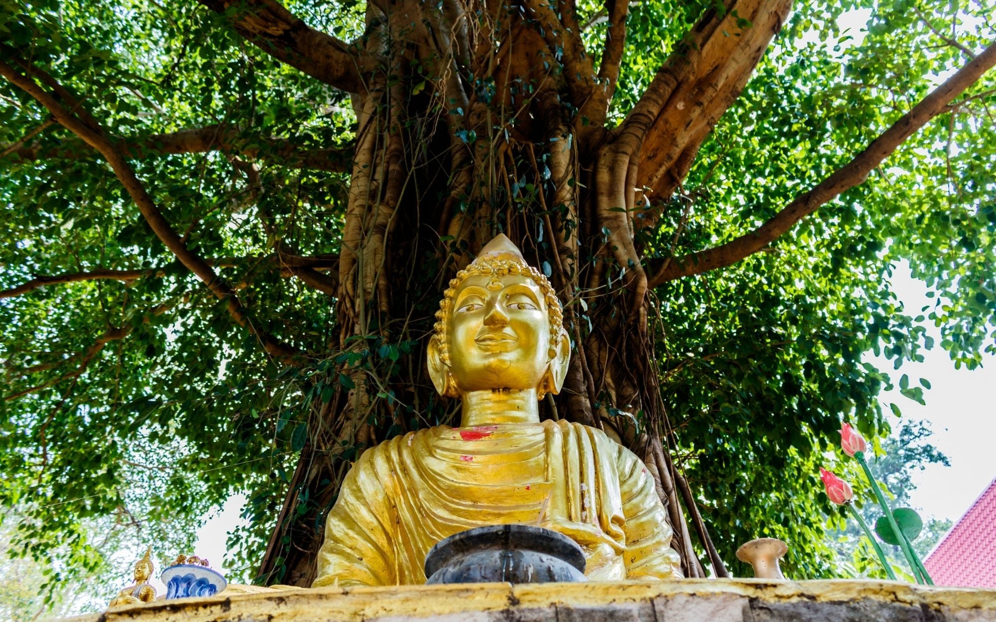 Der Heilige Bodhi-Baum