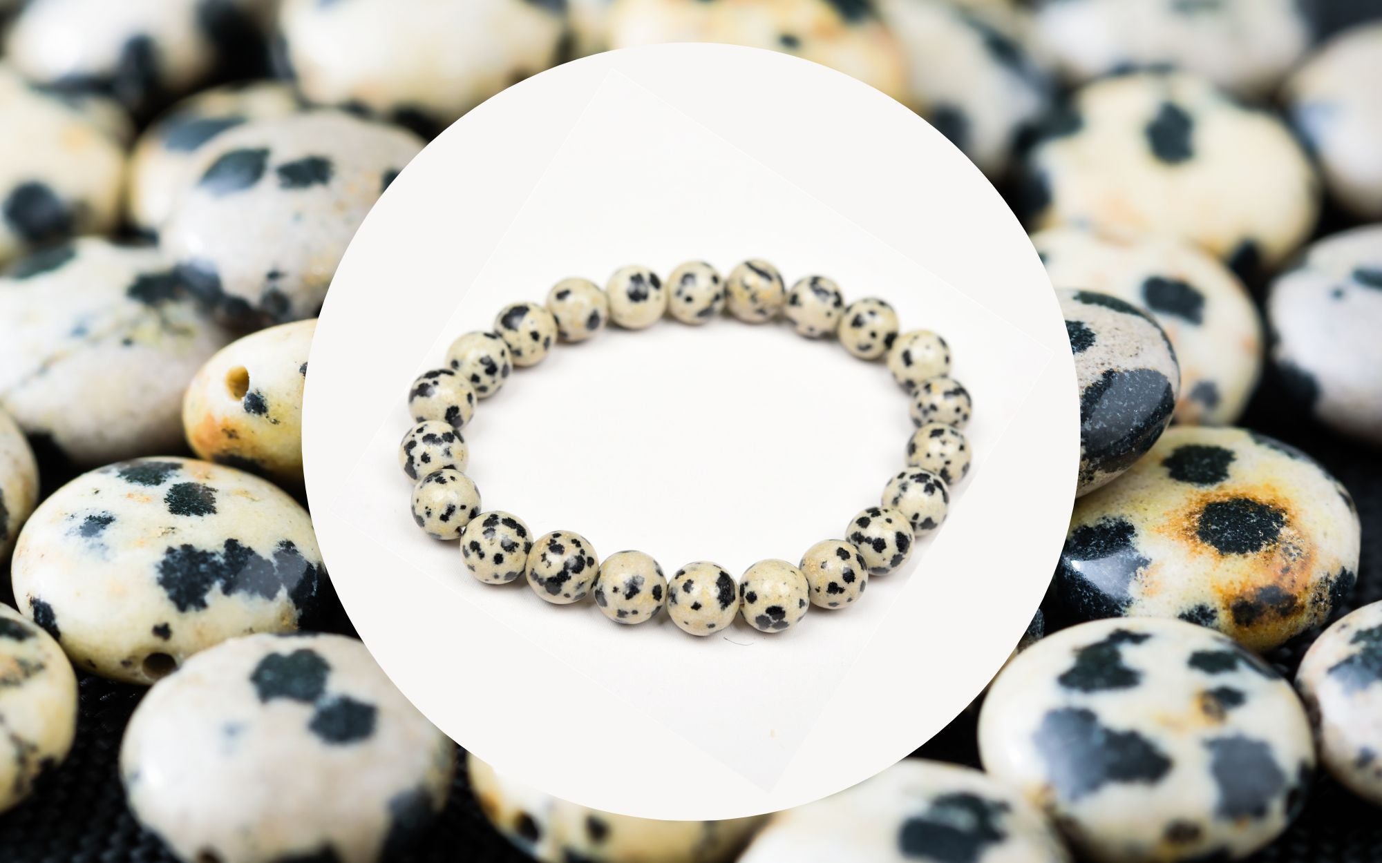 Dalmatian Jasper bracelet meaning