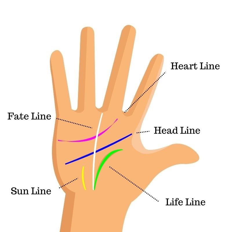 The Art of Palmistry/Chiromancy and The Detailed Line Meanings.