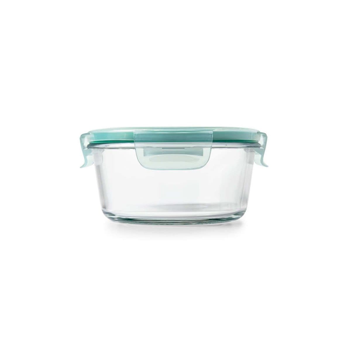 Progressive SnapLock 2 cups Clear Split Food Storage Container 1 pk - Ace  Hardware