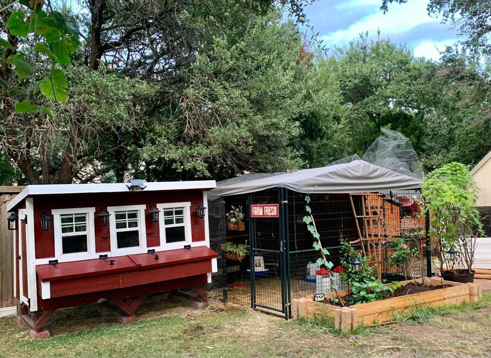 OverEZ XL Chicken Coop Up to 20 Chickens — Ambient Home