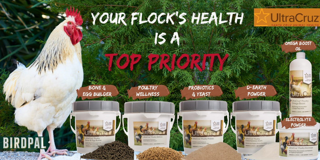 UltraCruz Poultry and Backyard Chicken health supplements