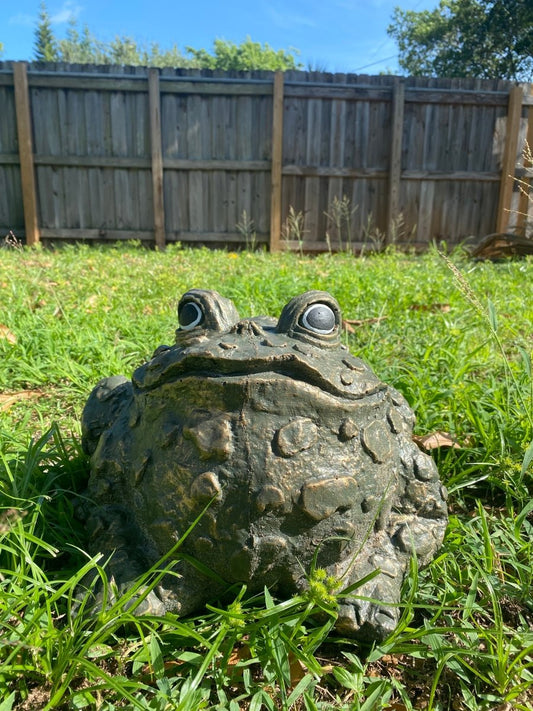 Unique Large Frog Statue Adds Character To Your Home - CBSD