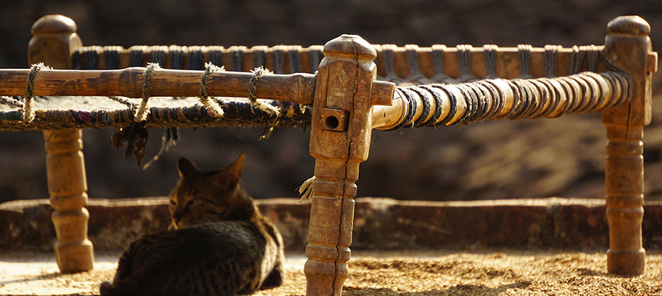 A tabby cat sits underneath a traditional charpai daybed, sheltering from the sun.  The daybed has a weathered wood frame and a bed of woven rope.