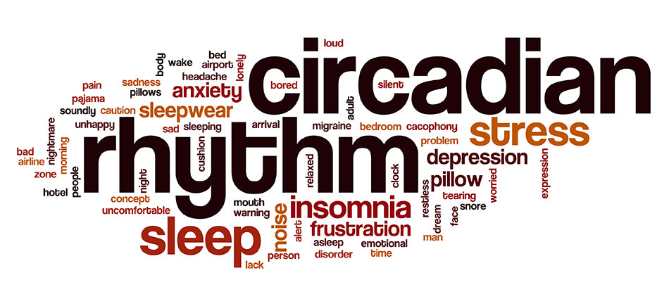 A graphic shows a cluster of words in various sizes and colors.  The feature word is “circadian rhythm”, and secondary words include terms such as “sleep”, “insomnia”, and “stress”.
