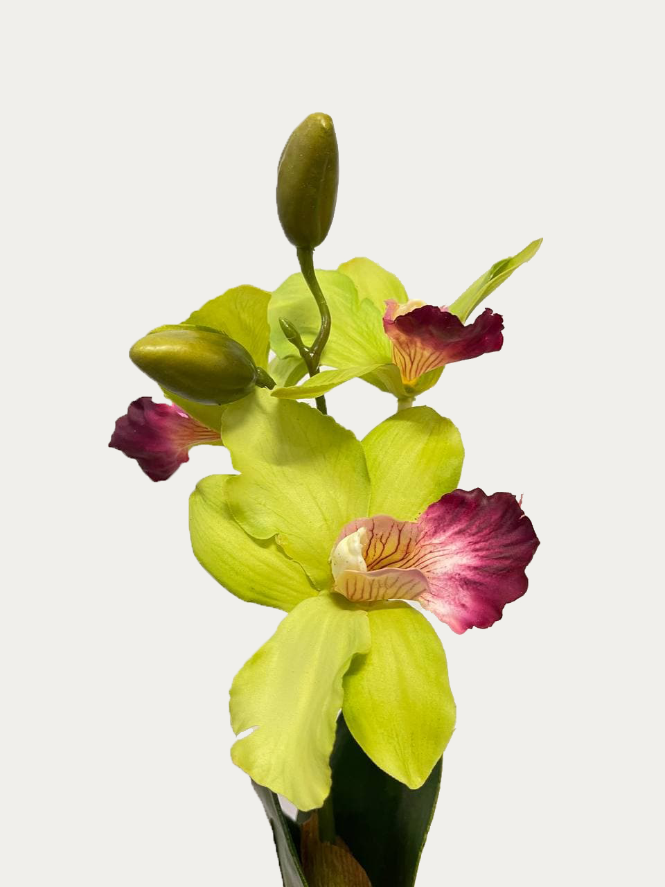 Artificial 3-Stalk Cattleya Orchid Arrangement with Staghorn Fern –  mingsing flowers