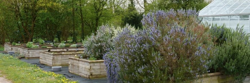 Jekka's Herb Farm in Bristol