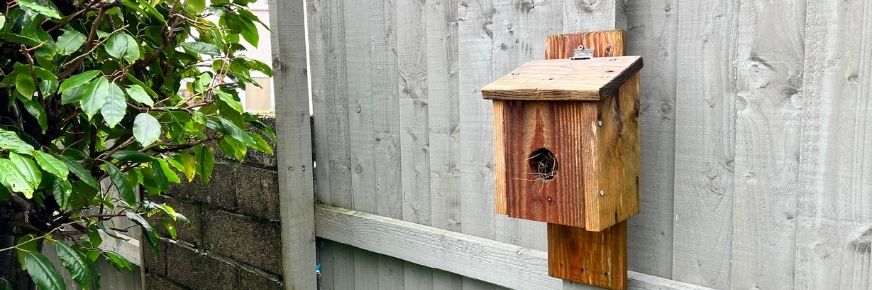 Dan Rouse nest box