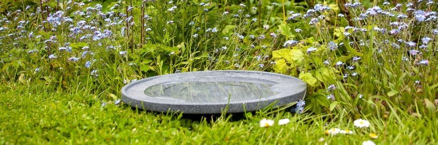 Wasser ist Leben Vogeltränke