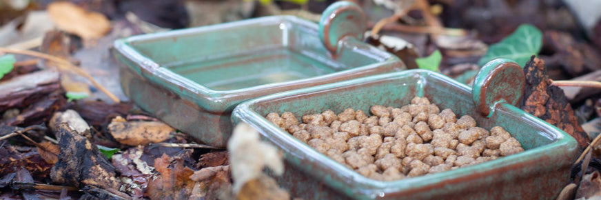 Wildlife World Hedgehog Snack and Water bowls