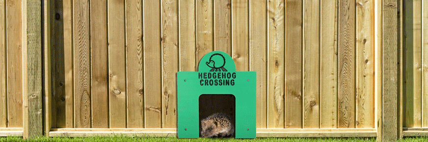 Wildlife World Hedgehog Crossing