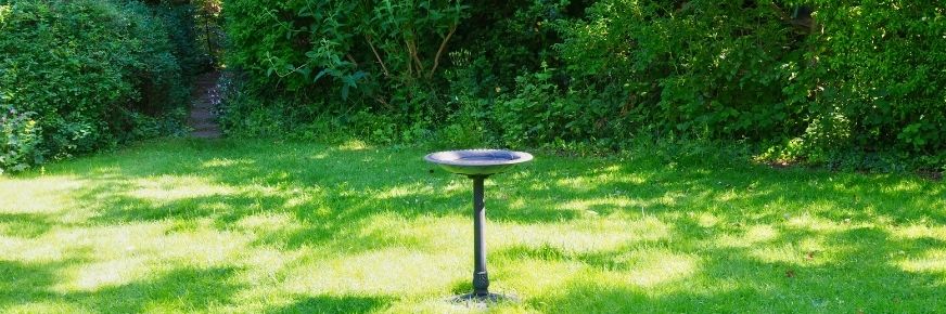 Bird bath in garden 