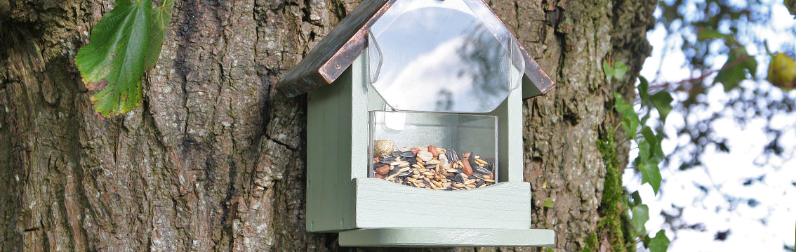 Squirrel Feeder