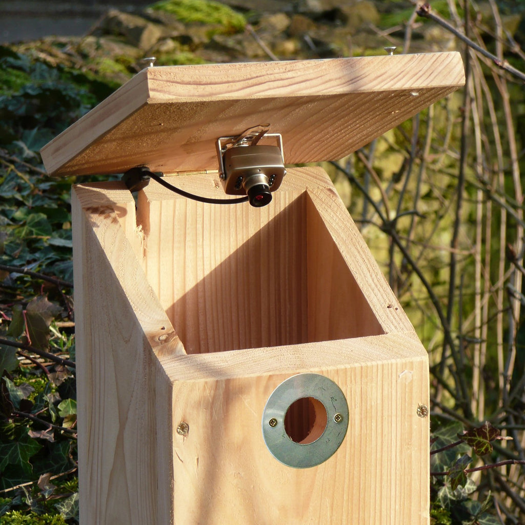 camera ready nest box
