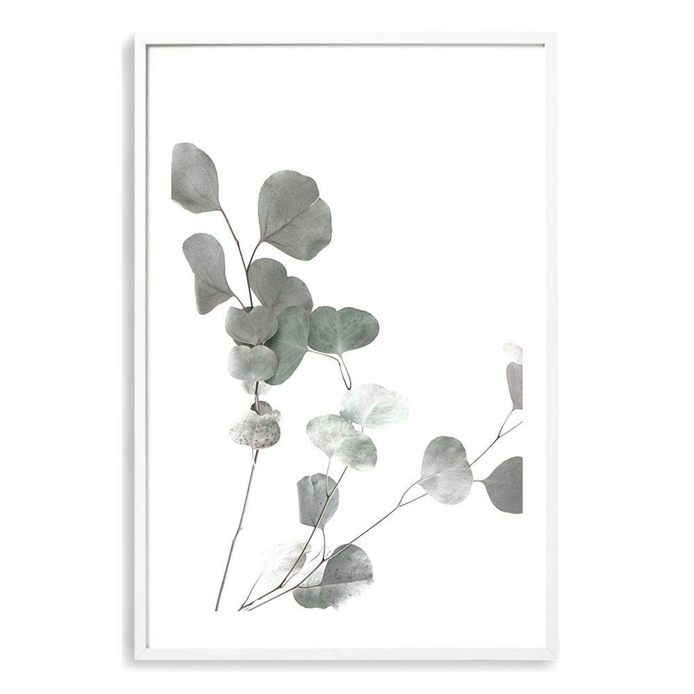 Set of 2 - Australian Native Eucalyptus Leaves & No.2 Art Print, Framed ...