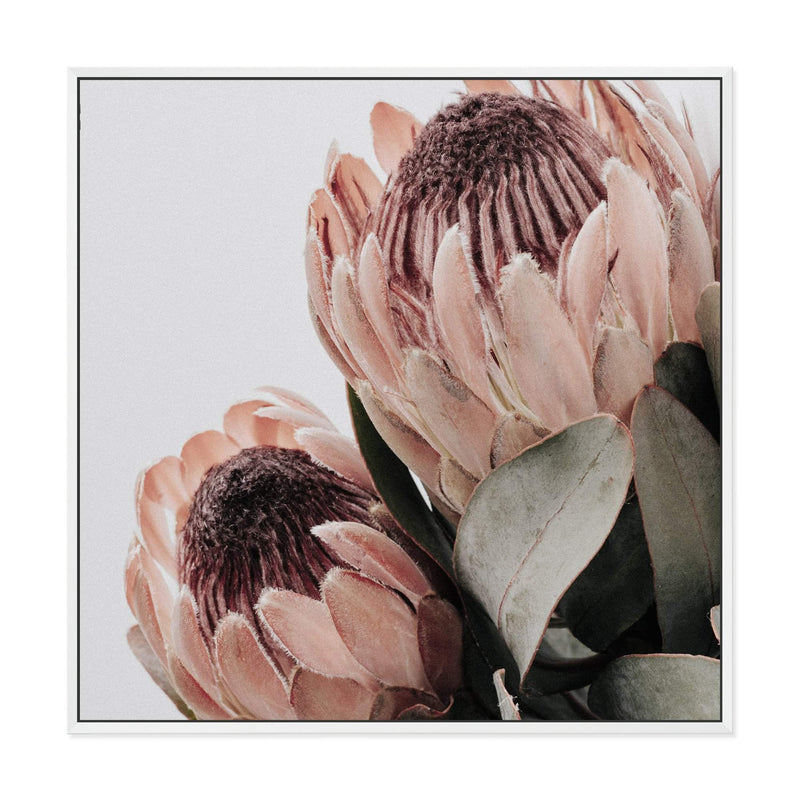 Peach Protea Flower photographic Wall Art Print Floral Artwork – The ...