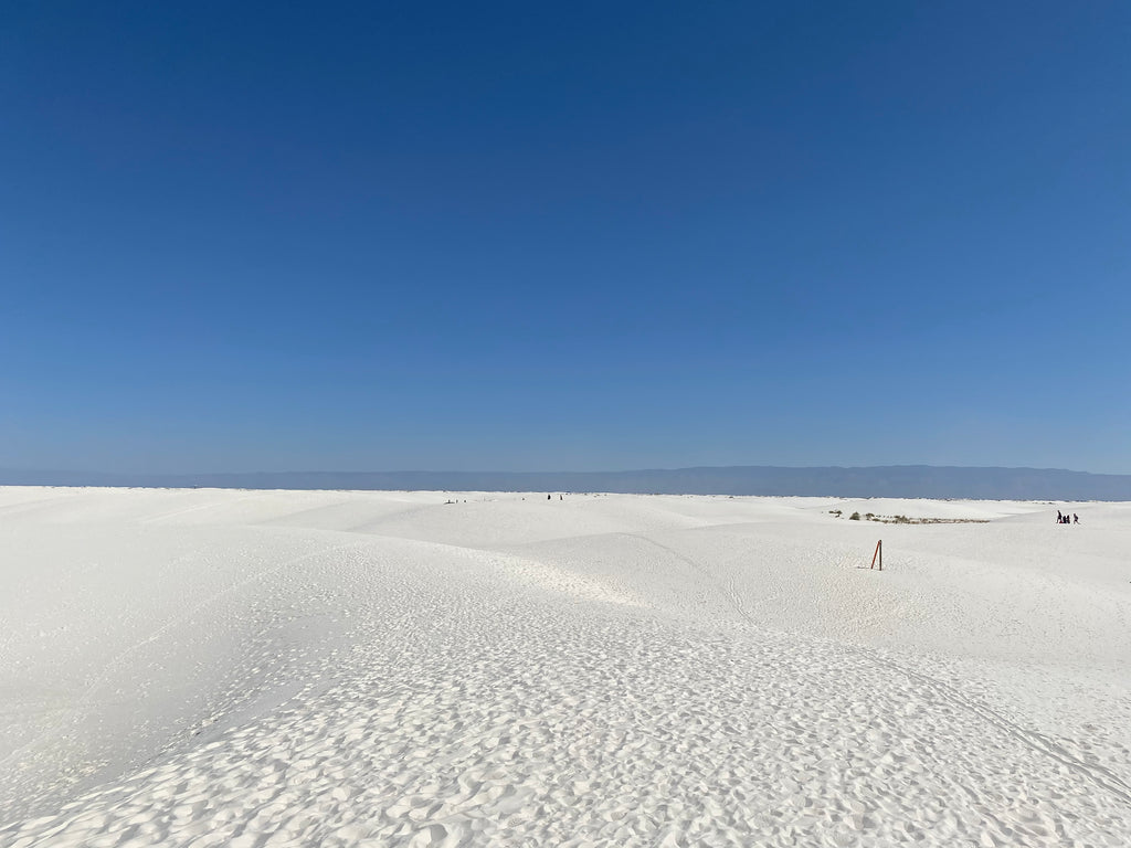 White Sands National Park Views