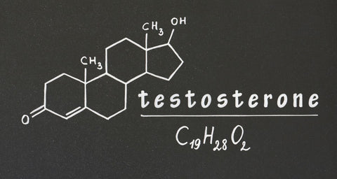 testosterone