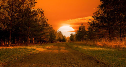 how to connect with nature by watching the sunset