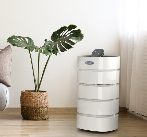 best air purifier for dorm room