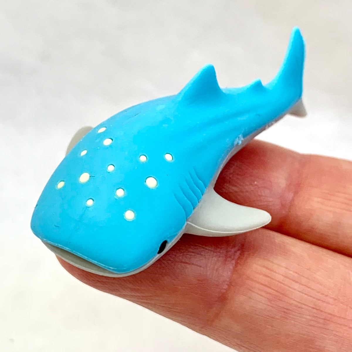 382534 IWAKO WHALE SHARK ERASER-TROPICAL LIGHT BLUE-1 eraser – IwakoUSA