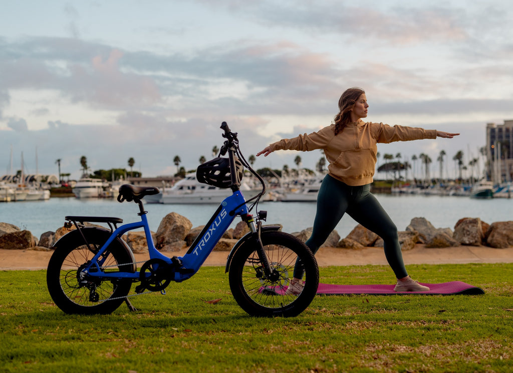 Lynx Folding Elelctric Bike