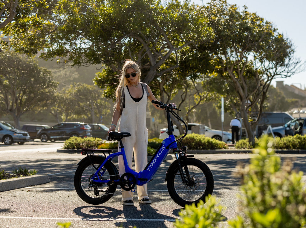 Lynx Folding Electric Bike