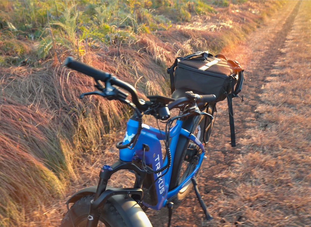 electric bike rear rack