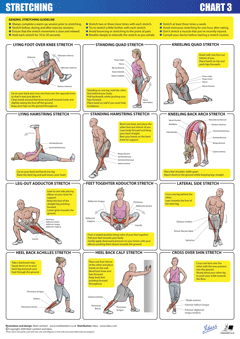 Stretch Set Charts