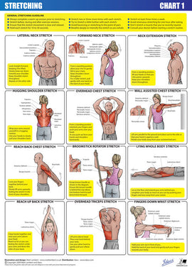 Muscle Stretch Chart