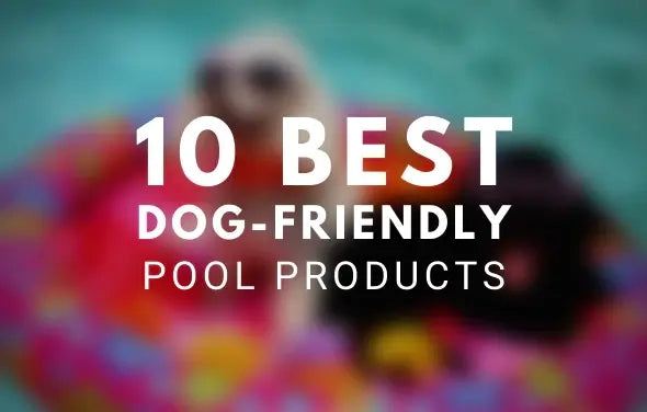 The 10 Best Dog-Friendly Pool Products