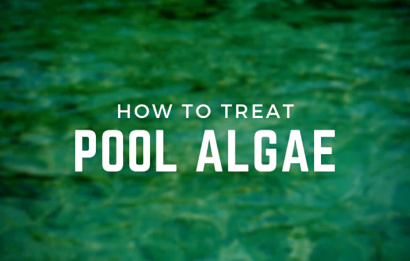 How To Treat Pool Algae