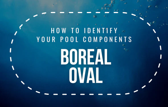 how-to-identify-boreal-oval-parts.webp__PID:9c275b95-a4d7-49eb-88b5-59371d103349