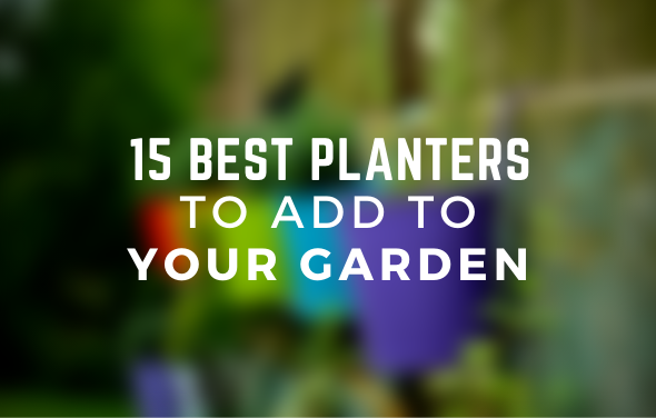 15 Best Planters to Add to Your Backyard