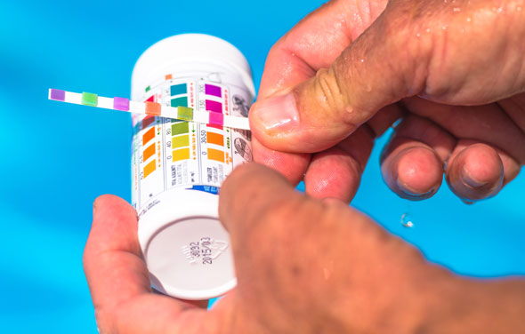 Baquacil to Chlorine adjust pH and Alkalinity