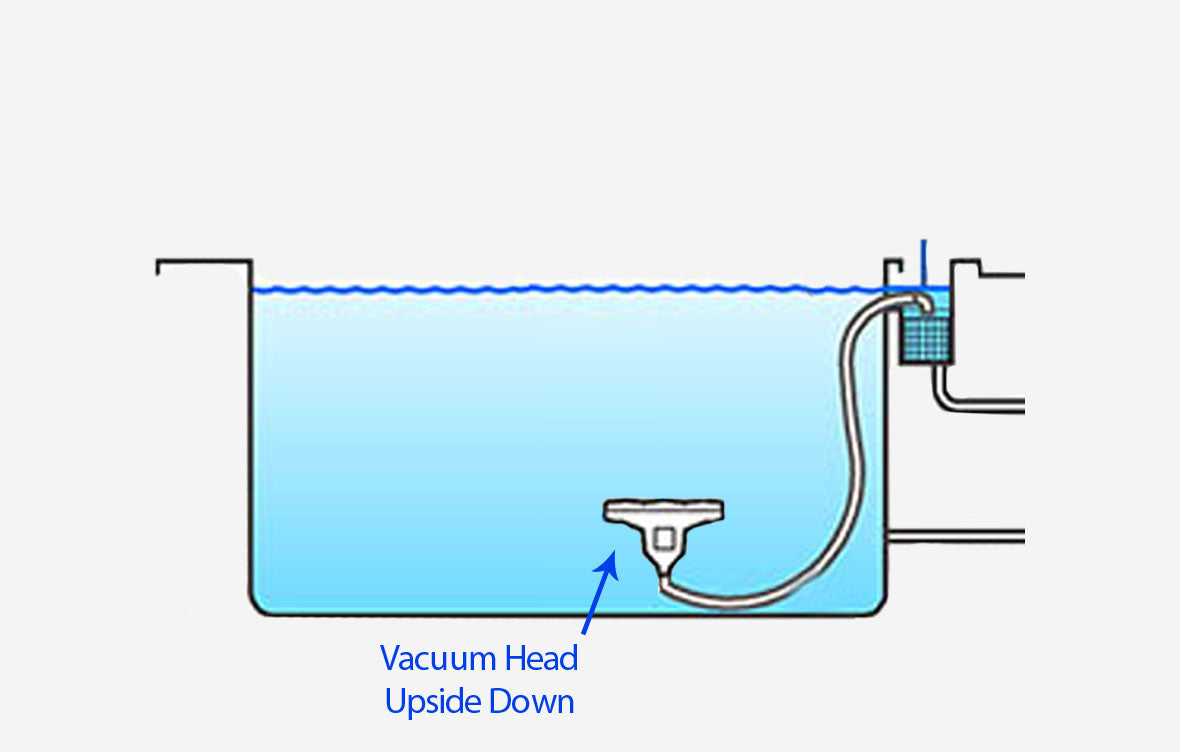 vacuum hose connected to skimmer