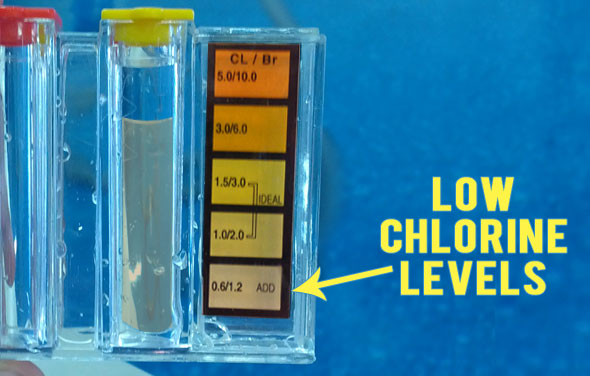 Baquacil to Chlorine small amounts