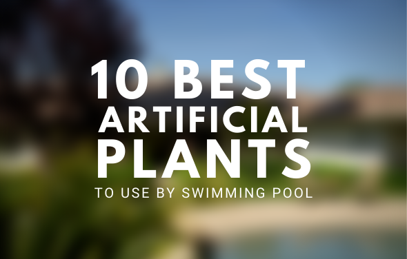 BEST ARTIFICIAL PLANTS TO USE BY YOUR SWIMMING POOL