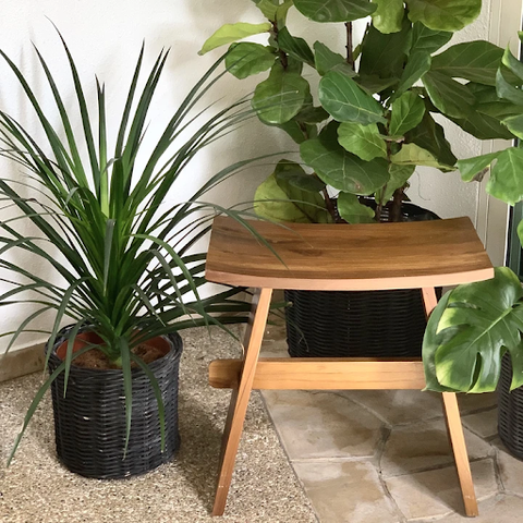 The Bayou Stool placed beside a plant