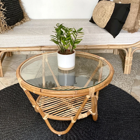 The Sumatra Coffee Table with a plant on top