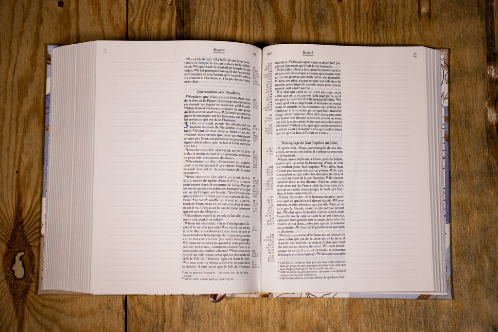 Bible Segond 21 Journal de bord avec grandes marges Crème bleu toile i —  BLFStore