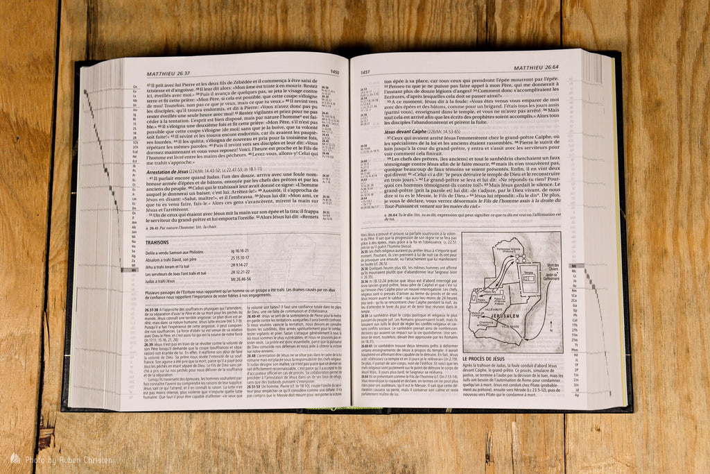 Bible d'étude Vie nouvelle, Segond 21 - couverture rigide illustrée -  Segond 21 :: La Maison de la Bible Suisse